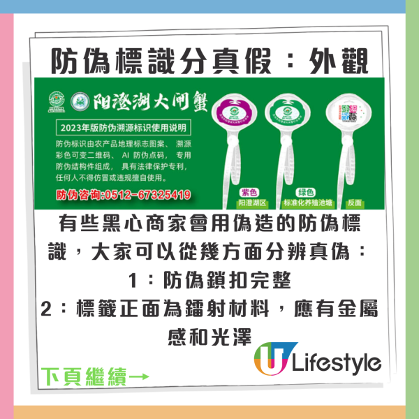 陽澄湖大閘蟹未開捕假貨已開賣！ 1招分大閘蟹真假/公乸/最佳品蟹期懶人包 