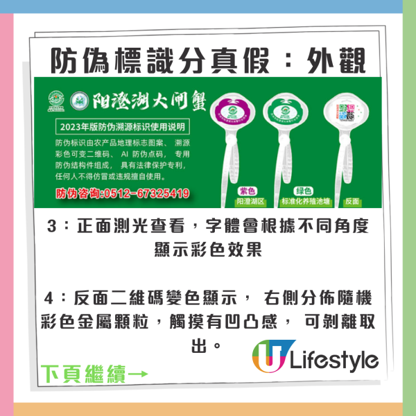 陽澄湖大閘蟹未開捕假貨已開賣！ 1招分大閘蟹真假/公乸/最佳品蟹期懶人包 