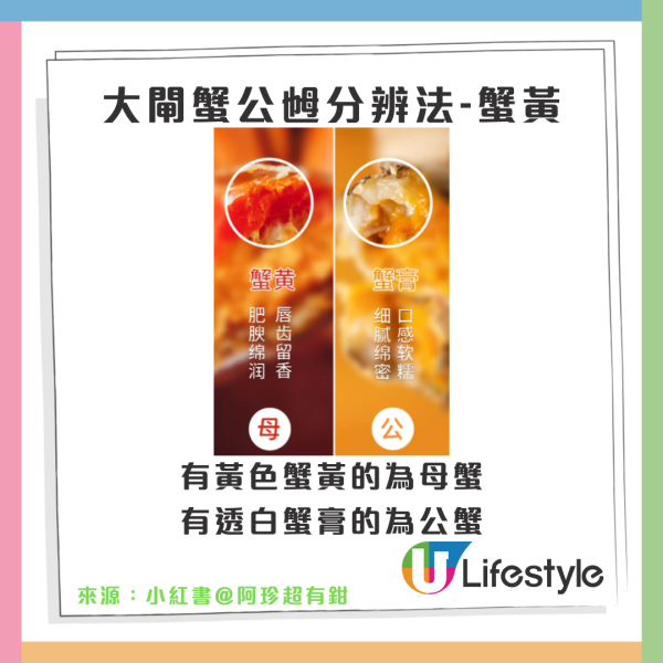 陽澄湖大閘蟹未開捕假貨已開賣！ 1招分大閘蟹真假/公乸/最佳品蟹期懶人包 