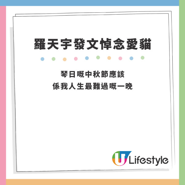 羅天宇愛貓｜羅天宇中秋節與愛貓天人相隔 不忍病痛以安樂死告別9年情