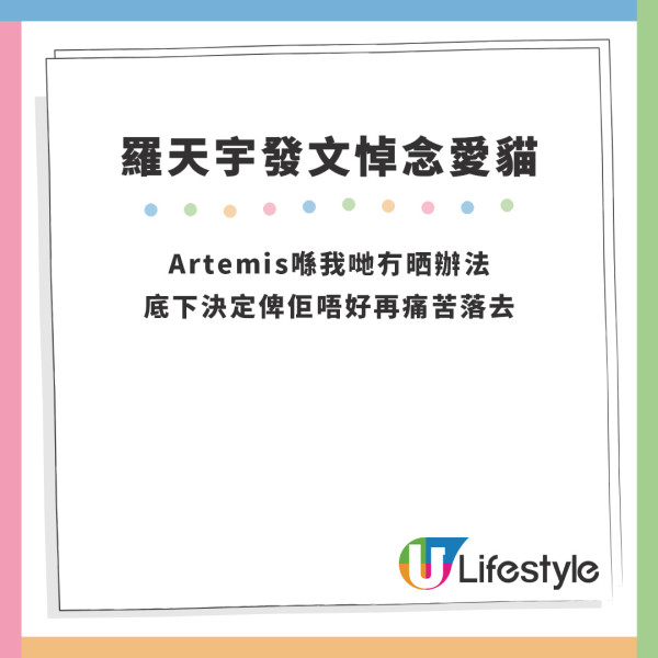 羅天宇愛貓｜羅天宇中秋節與愛貓天人相隔 不忍病痛以安樂死告別9年情