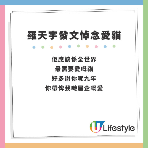 羅天宇愛貓｜羅天宇中秋節與愛貓天人相隔 不忍病痛以安樂死告別9年情