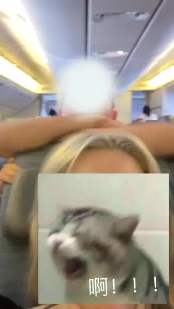 國泰港人夫婦不滿內地女椅背挨後 舉中指踢櫈辱罵「大陸妹」 網：影衰香港人