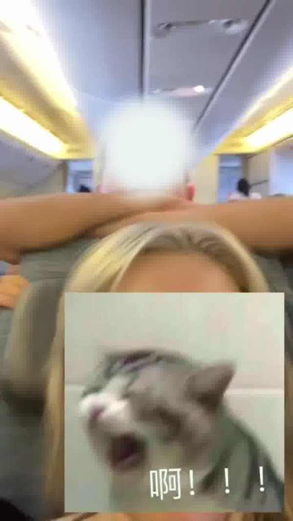 國泰港人夫婦不滿內地女椅背挨後 舉中指踢櫈辱罵「大陸妹」 網：影衰香港人