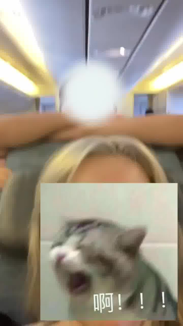 國泰港人夫婦不滿內地女椅背挨後 舉中指踢櫈辱罵「大陸妹」 網：影衰香港人