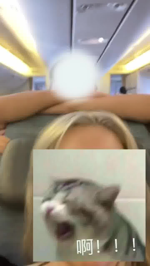 國泰港人夫婦不滿內地女椅背挨後 舉中指踢櫈辱罵「大陸妹」 網：影衰香港人