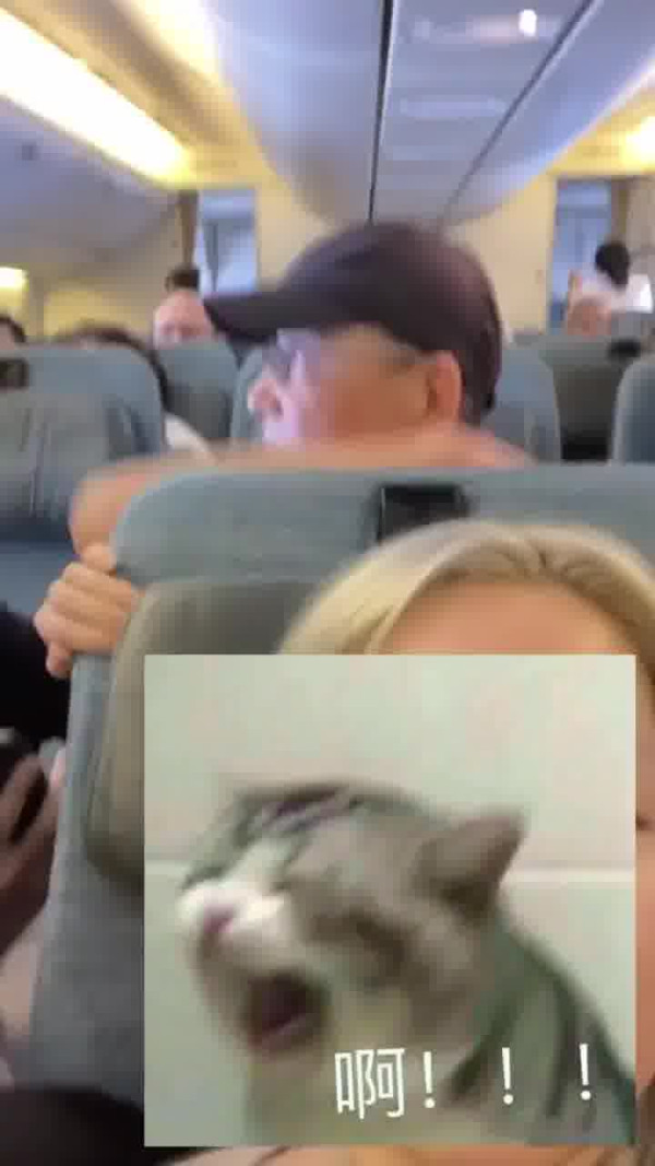 國泰港人夫婦不滿內地女椅背挨後 舉中指踢櫈辱罵「大陸妹」 網：影衰香港人