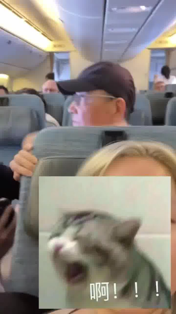 國泰港人夫婦不滿內地女椅背挨後 舉中指踢櫈辱罵「大陸妹」 網：影衰香港人