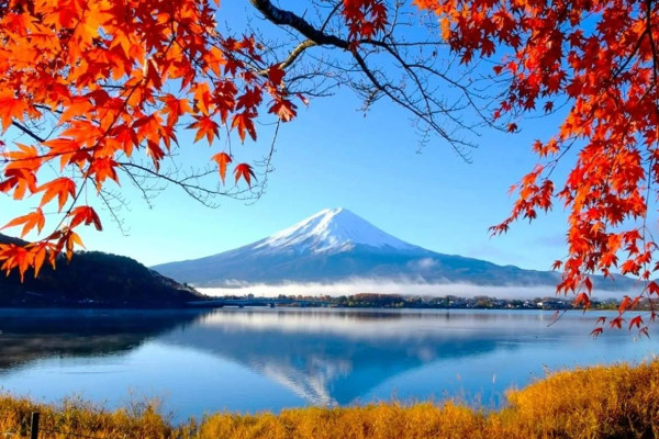 日本紅葉2024│河口湖紅葉祭 楓葉迴廊／賞楓景點＋交通攻略 