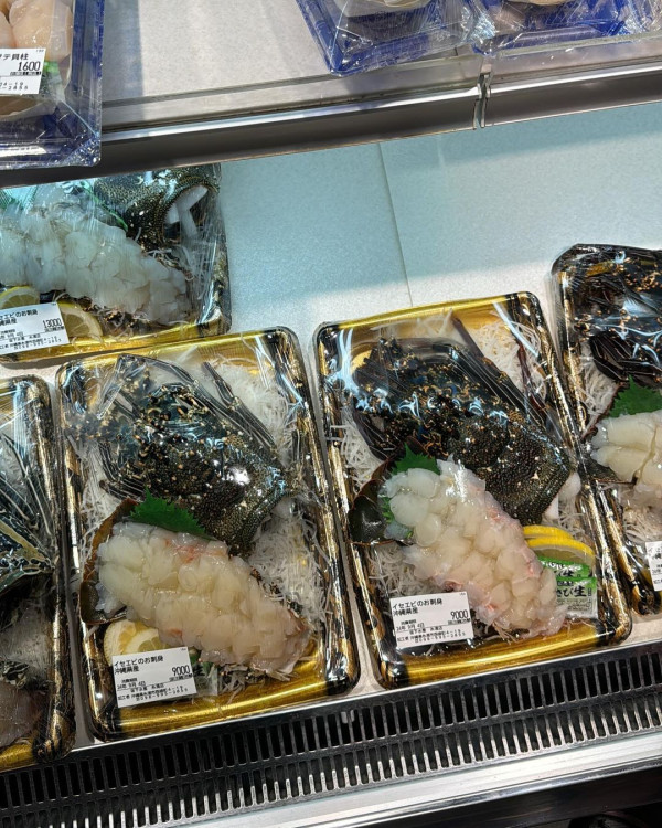 張家朗與法籍劍手女友赴意大利比賽！罕有放閃甜曬合照 