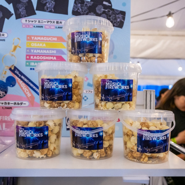 2024日本迪士尼音樂煙花匯演！5大地區舉行 Disney名曲+專屬紀念品 