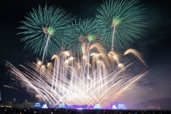 2024日本迪士尼音樂煙花匯演！5大地區舉行 Disney名曲+專屬紀念品 