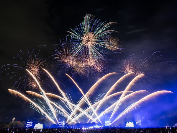 2024日本迪士尼音樂煙花匯演！5大地區舉行 Disney名曲+專屬紀念品 