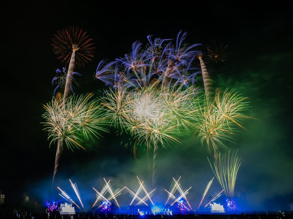 2024日本迪士尼音樂煙花匯演！5大地區舉行 Disney名曲+專屬紀念品 