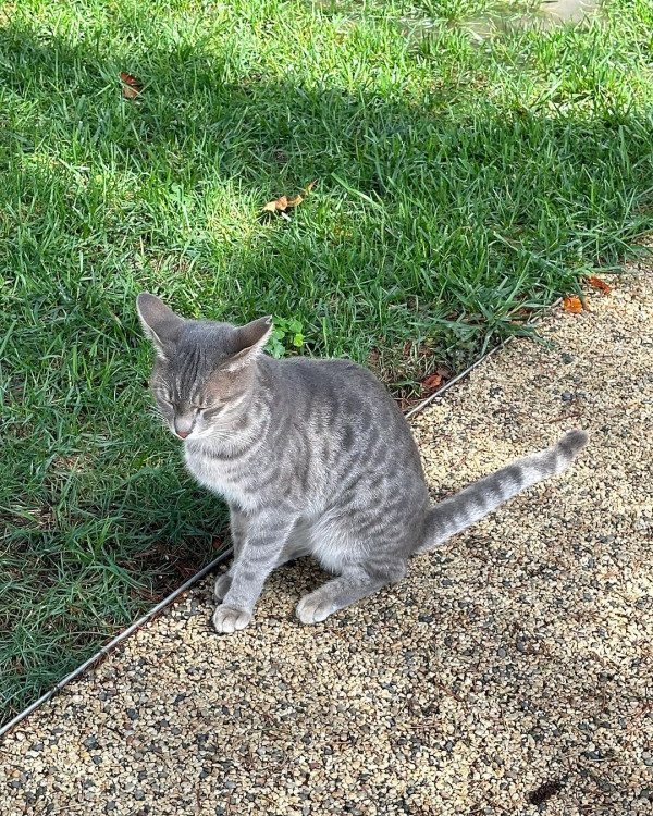 TVB小花遊伊斯坦堡曬玉背 留長頭髮被指重回顏值顛峰！ 