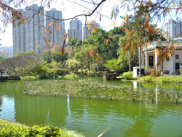 青衣好去處 青衣公園（圖片來源︰康樂及文化事務署）