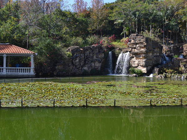 青衣好去處 青衣公園（圖片來源︰康樂及文化事務署）