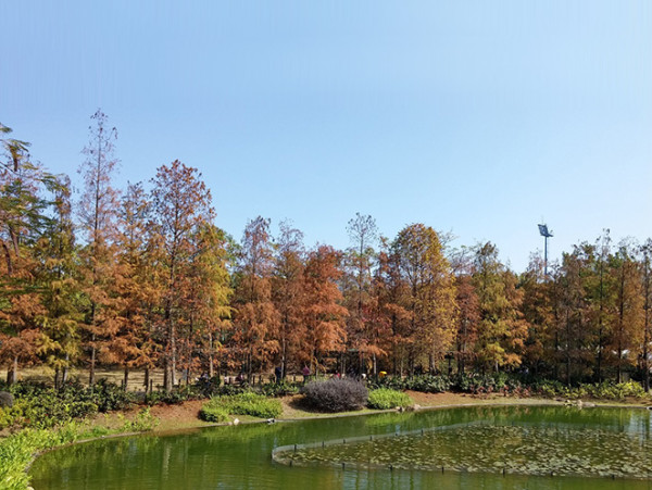 青衣好去處 青衣公園（圖片來源︰康樂及文化事務署）