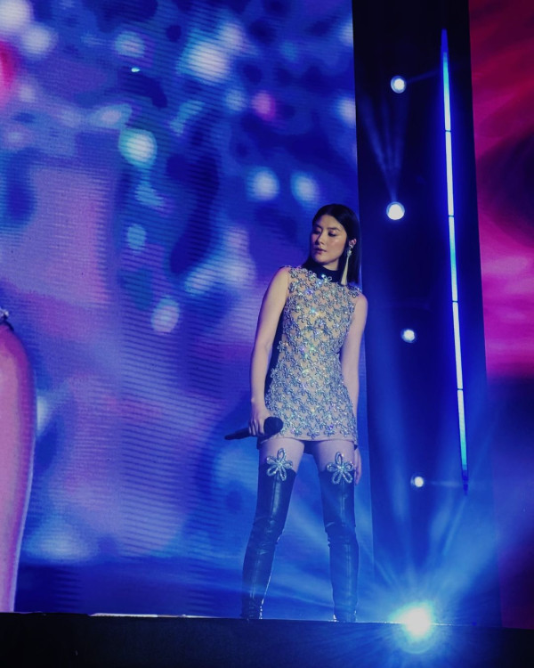 陳慧琳（Kelly）是娛樂圈中資深Hermès愛用家