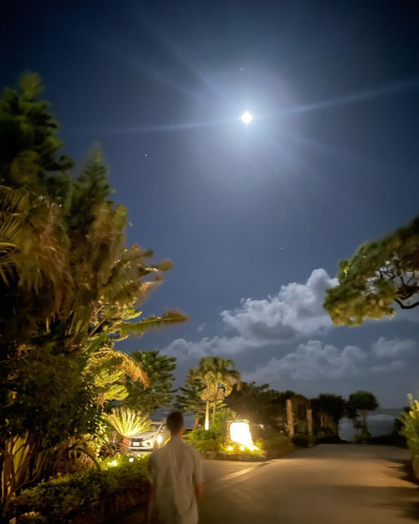 TVB「A0女神」激罕甫泳裝照 酒店泳池游夜水大騷美背 網友:索到暈!