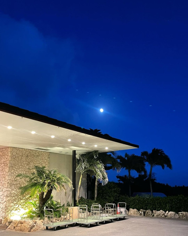 TVB「A0女神」激罕甫泳裝照 酒店泳池游夜水大騷美背 網友:索到暈!