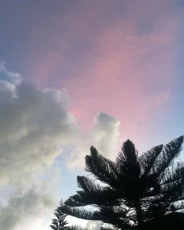 TVB「A0女神」激罕甫泳裝照 酒店泳池游夜水大騷美背 網友:索到暈!