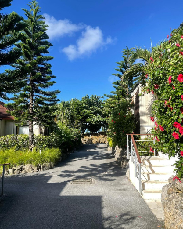 TVB「A0女神」激罕甫泳裝照 酒店泳池游夜水大騷美背 網友:索到暈!