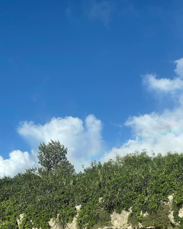 TVB「A0女神」激罕甫泳裝照 酒店泳池游夜水大騷美背 網友:索到暈!