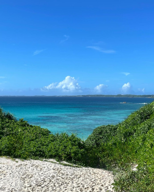 TVB「A0女神」激罕甫泳裝照 酒店泳池游夜水大騷美背 網友:索到暈!