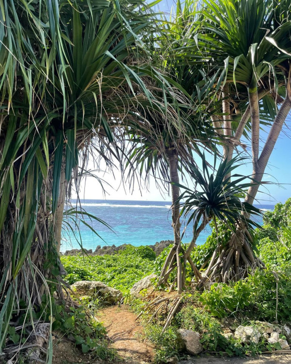 TVB「A0女神」激罕甫泳裝照 酒店泳池游夜水大騷美背 網友:索到暈!