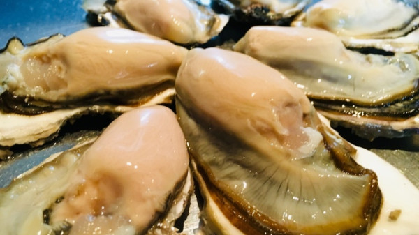 東京居酒屋|20間高評分東京居酒屋推薦!港區/目黑/澀谷區 刺身/海鮮/酒場