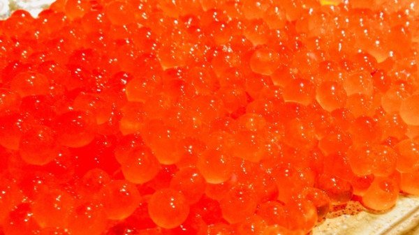 東京居酒屋|20間高評分東京居酒屋推薦!港區/目黑/澀谷區 刺身/海鮮/酒場