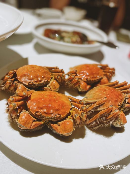 深圳秋蟹宴5大推介│抵食大閘蟹餐廳／松葉蟹／名畫蟹宴 