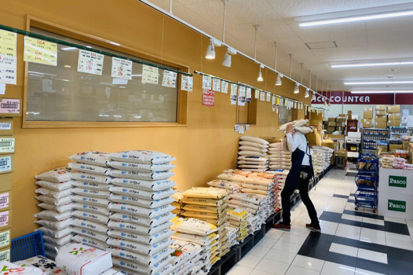 木津市場|圖片來源:istock、大阪木津批發市場官方網站、The Official Osaka Travel Guide、ODA食材センター官方網站 木津市場|圖片來源:istock、大阪木津批發市場官方網站、The Official Osaka Travel Guide、ODA食材センター官方網站