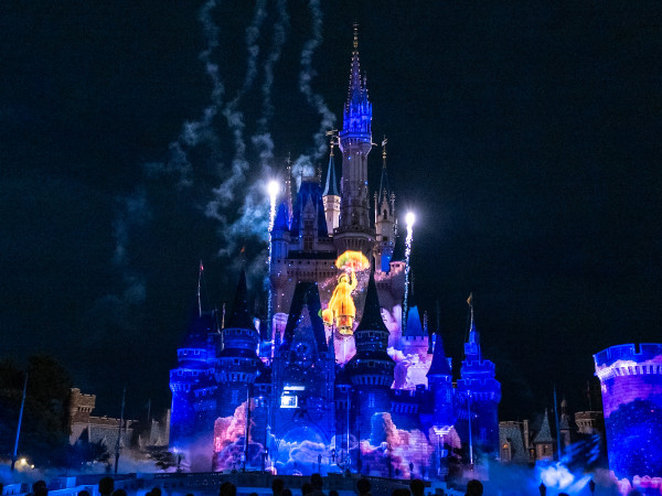 全球6大迪士尼樂園比較！門票價錢/特色/優惠一覽！全球唯一主題園區 