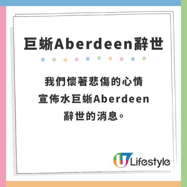 水巨蜥Aberdeen辭世｜嘉道理農場水巨蜥Aberdeen辭世 去年曾走失獸醫公佈死因