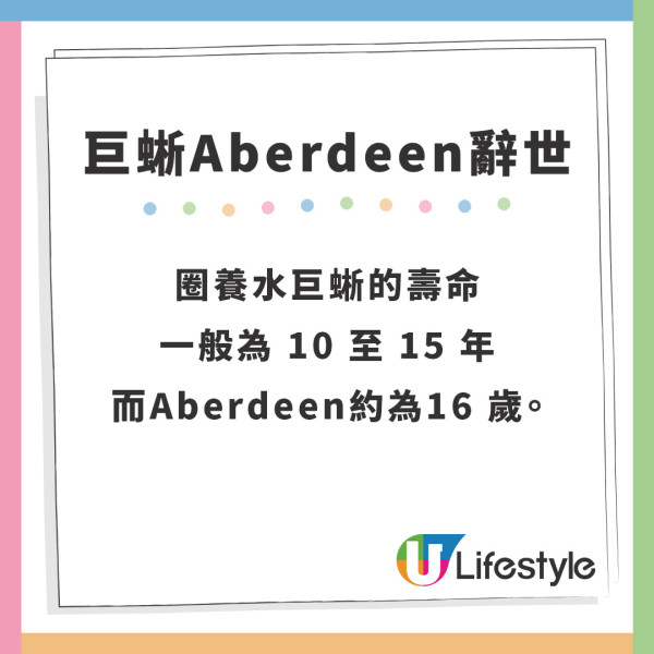 水巨蜥Aberdeen辭世｜嘉道理農場水巨蜥Aberdeen辭世 去年曾走失獸醫公佈死因