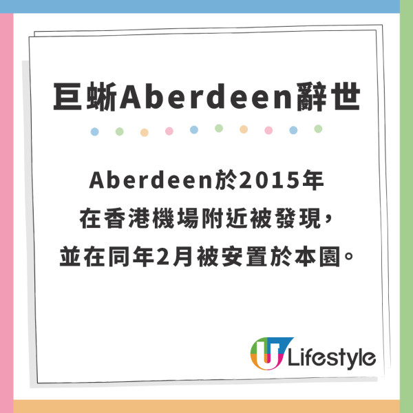 水巨蜥Aberdeen辭世｜嘉道理農場水巨蜥Aberdeen辭世 去年曾走失獸醫公佈死因