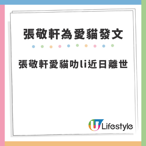 張敬軒愛貓Leslie近日逝世 深夜難忍傷痛開直播盡訴思念︰唔敢再養小動物