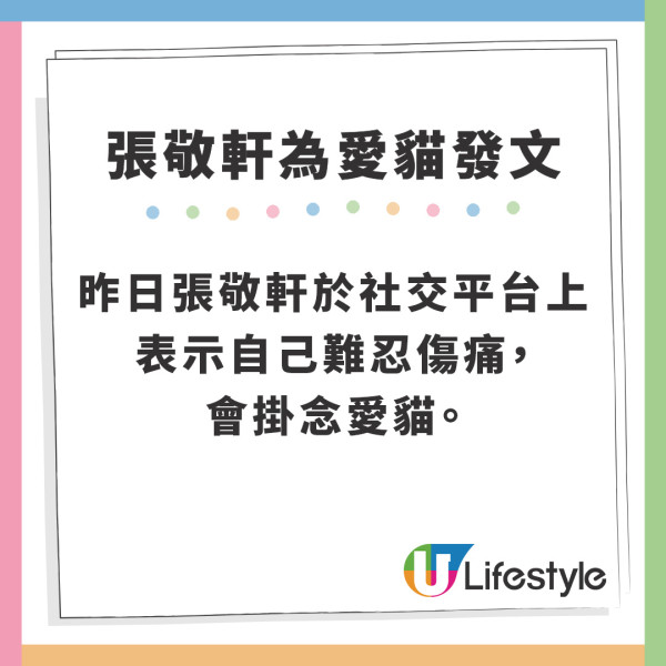 張敬軒愛貓Leslie近日逝世 深夜難忍傷痛開直播盡訴思念︰唔敢再養小動物