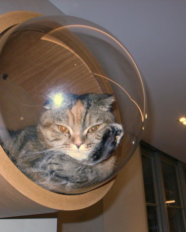 陸浩明女友遊台水著放題曬火辣身材！ 6號被指褲浪位有異樣：泳褲搶哂鏡 