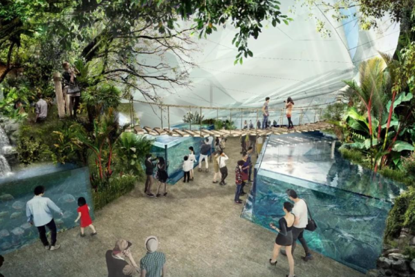 深圳小梅沙海洋世界國慶日開幕 6萬平方米/200+海洋生物/仿真機甲鯨鯊