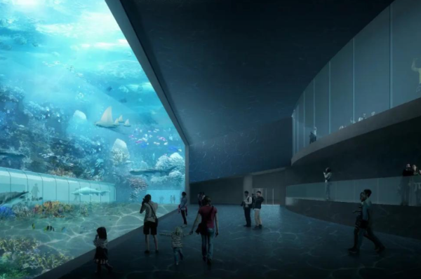 深圳小梅沙海洋世界國慶日開幕 6萬平方米/200+海洋生物/仿真機甲鯨鯊