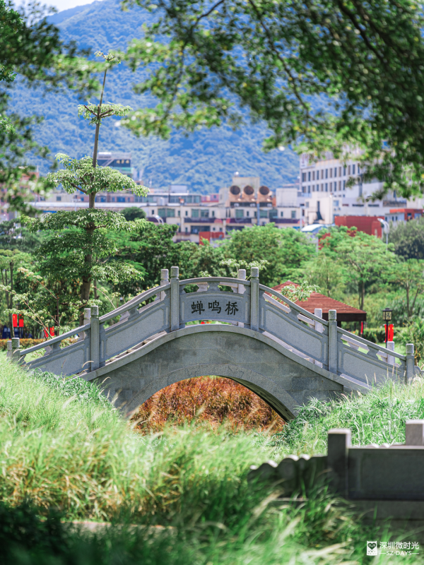 深圳50000㎡粉黛亂子草花海！2大公園浪漫打卡攻略、交通 