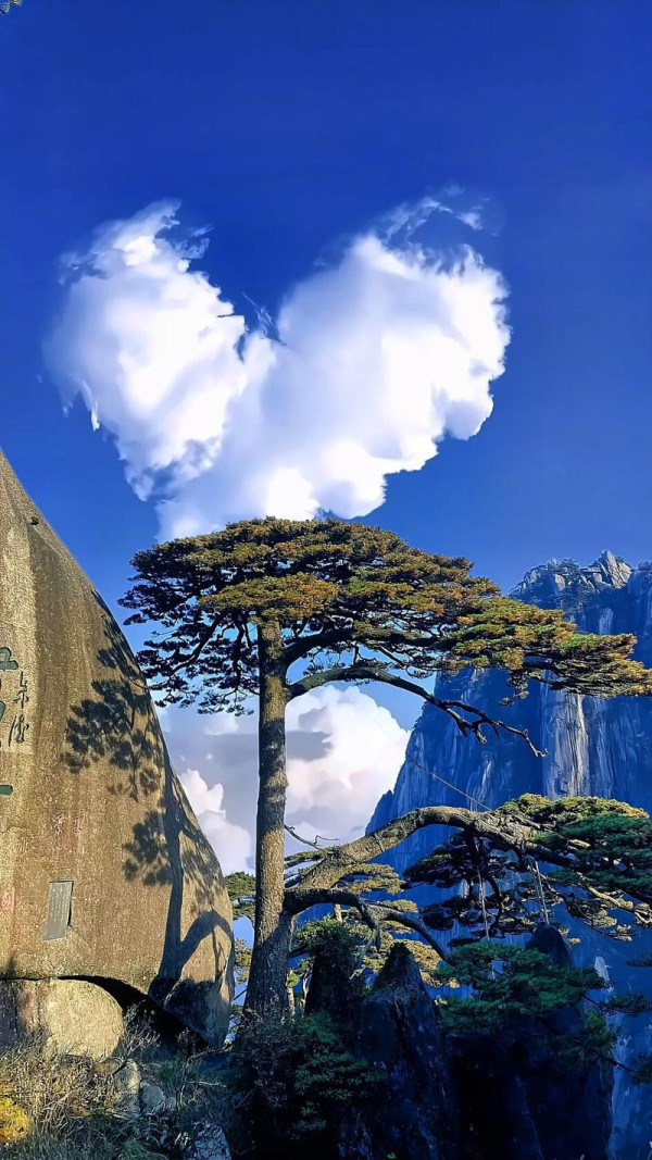 【旅遊鋒】探索黃山：四絕之美 