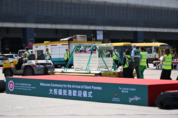 大熊貓安安可可抵達香港 海洋公園：冀聖誕期間安排大熊貓見公眾