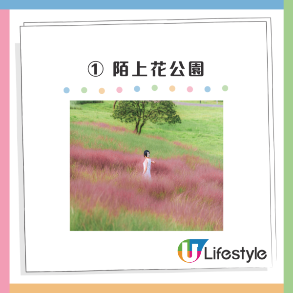 深圳50000㎡粉黛亂子草花海！2大公園浪漫打卡攻略、交通 