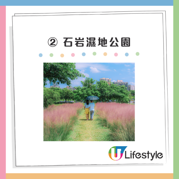 深圳50000㎡粉黛亂子草花海！2大公園浪漫打卡攻略、交通 