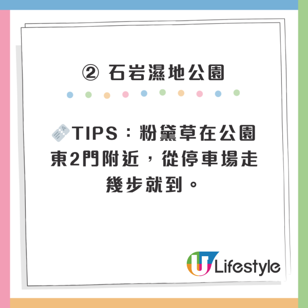 深圳50000㎡粉黛亂子草花海！2大公園浪漫打卡攻略、交通 