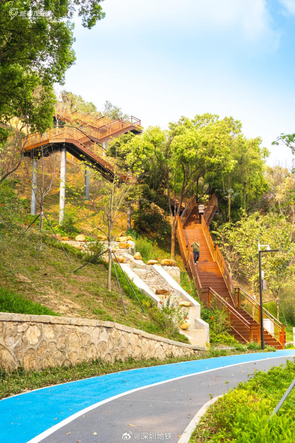 龍崗大嶺鼓公園(圖片來源:微博@深圳地鐵) 龍崗大嶺鼓公園(圖片來源:微博@深圳地鐵)